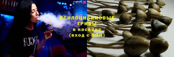 PSILOCYBIN Абинск