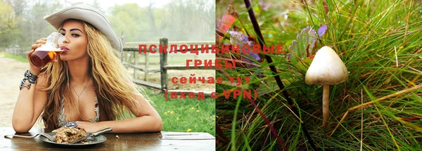PSILOCYBIN Абинск